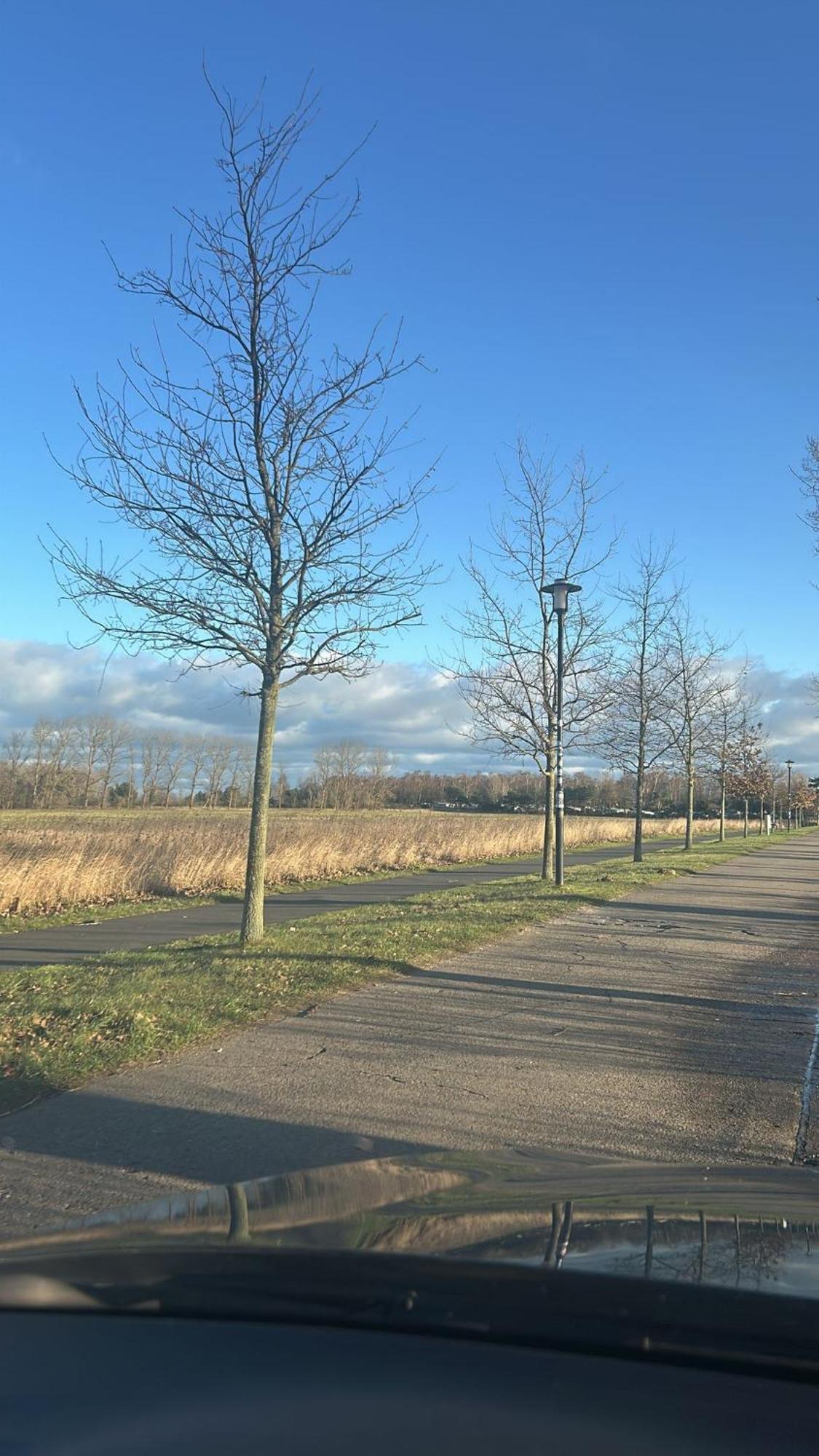 Einzelzimmer Mit Gemeinschaftsbad Pruchten Exterior foto